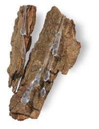 リフトケア コンプレックス